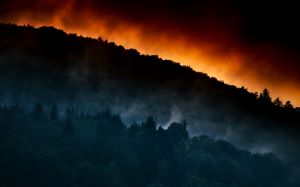 Waldbrände Aus Dem Weltall Erkennen