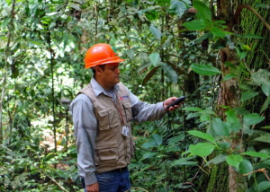 OSINFOR Y UNODC Buscan Mejorar Plataforma Geoespacial Para Identificar Delitos Forestales