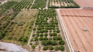 El CDR Crea El Primer Mapa De Cultivos Abandonados Con El Uso De Imágenes De Satélite