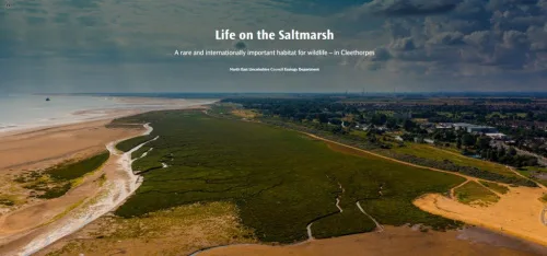 New Story Map Uncovers The Natural Beauty Of Cleethorpes Saltmars