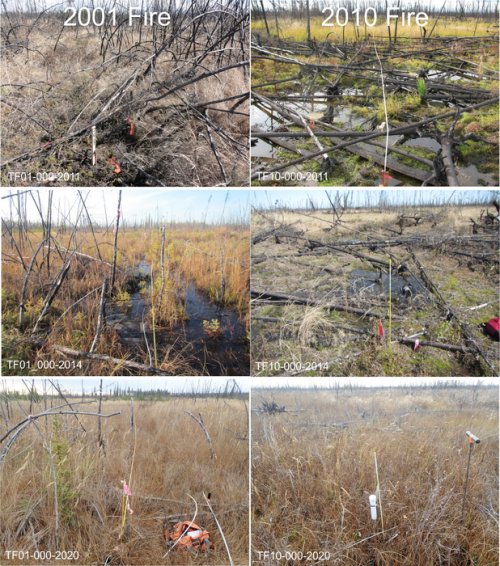 New Technique Maps Large-scale Impacts Of Fire-induced Permafrost Thaw In Alaska