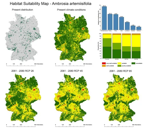 Invasive Plant Species Will Spread Even Further In Germany According To Simulation Study