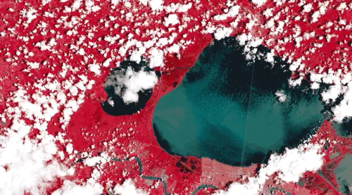 Earth’s Climate Is Changing. IBM’s New Geospatial Foundation Model Could Help Track And Adapt To A New Landscape