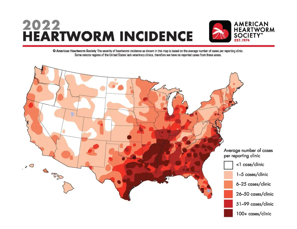 Map Shows Heartworm Rates Continue To Increase In Hot Spots, New Locations