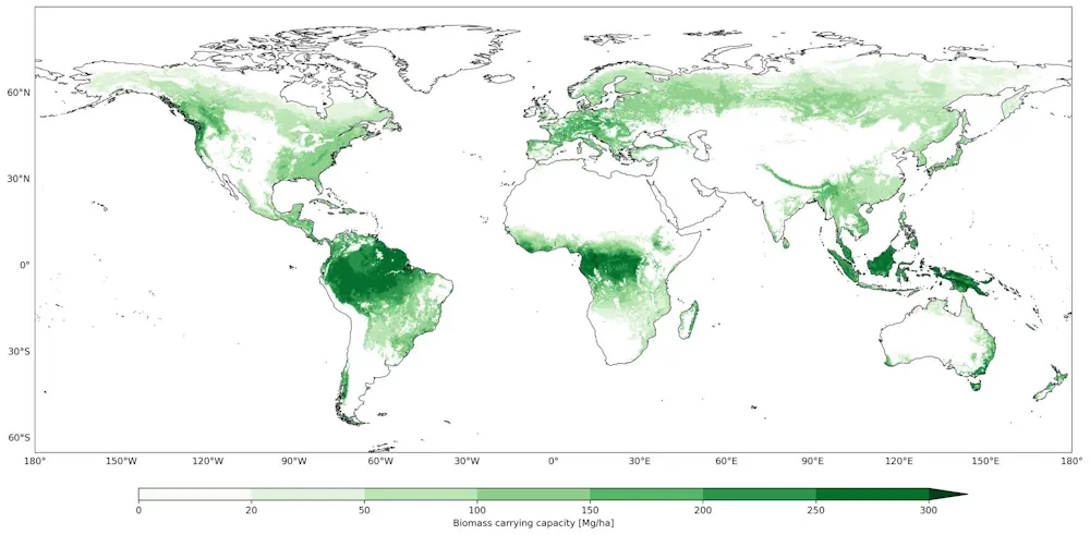Mapping And AI Apps Suggest Ceasing Management Of Forests Not Enough To Offset Carbon Emissions