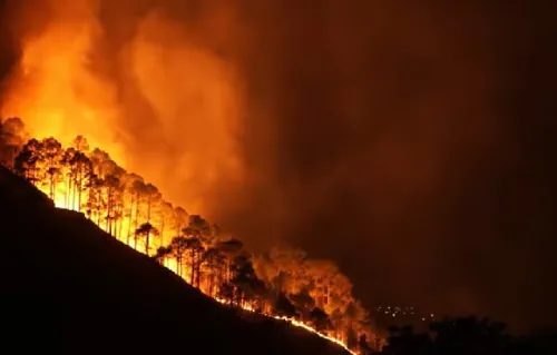 Realiza UNAM Monitoreo Satelital Permanente Para Detectar Incendios Forestales