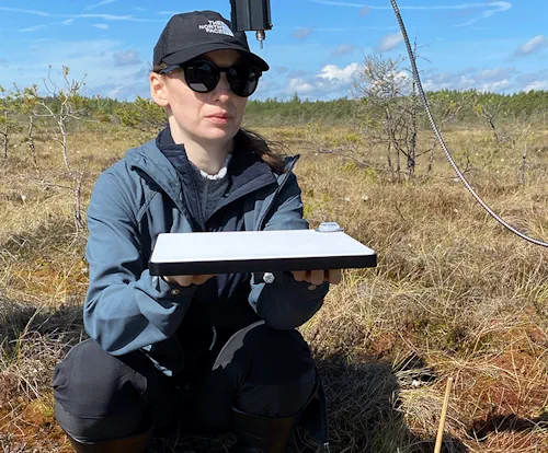 New Remote Sensing Method Helps Monitor The Results Of Peatlands Rehabilitation