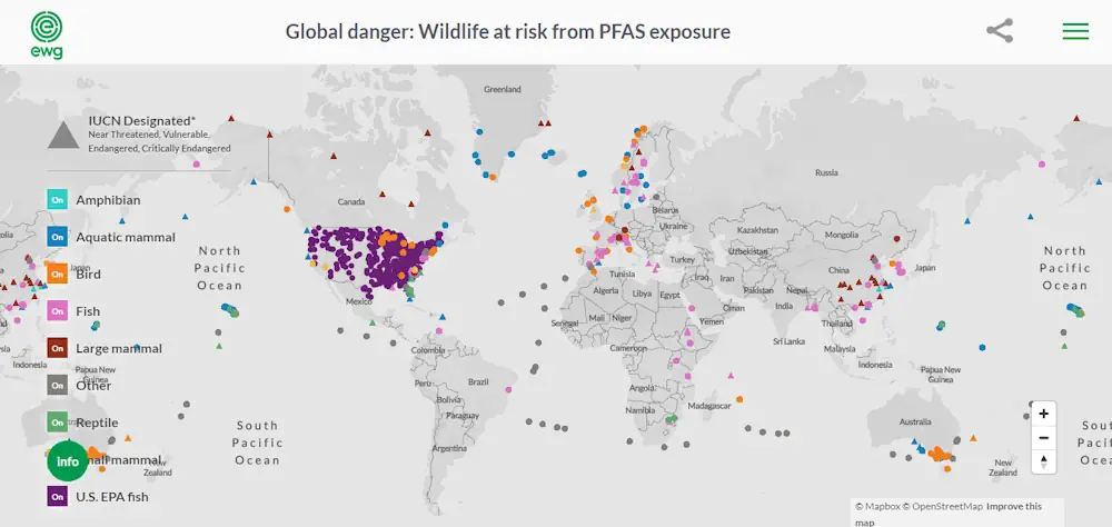 Interactive Map Depicts Extent Of Worldwide Wildlife Exposure To ‘Forever Chemicals’
