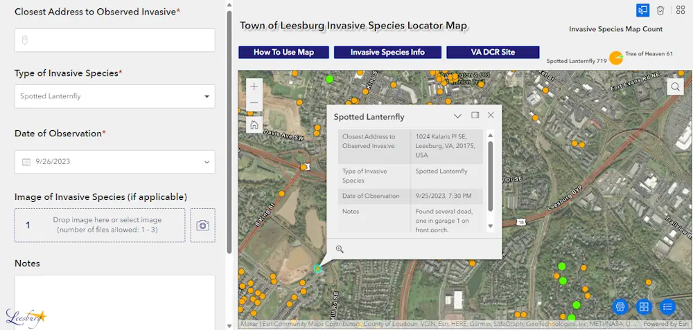 New Online Map Helps Track Leesburg Lanternflies In Real Time