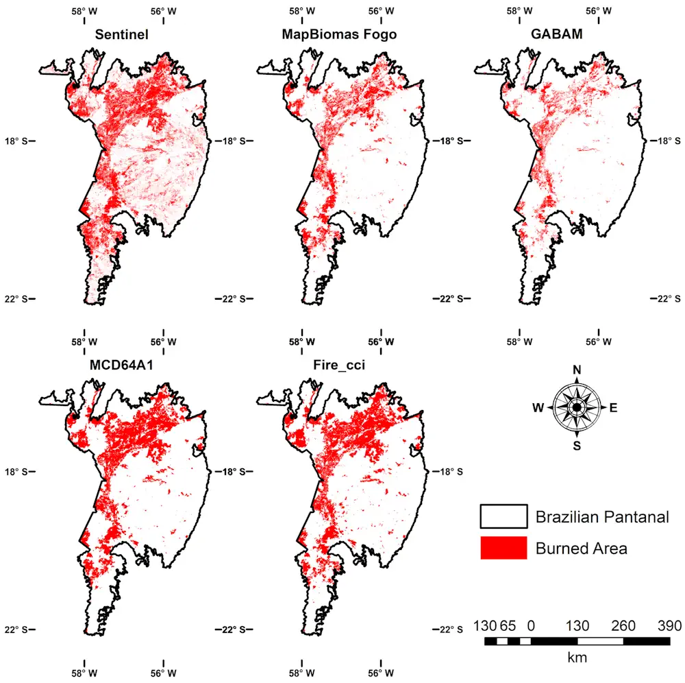 In 2020, 30% Of The Pantanal Was Burned To Cinders By Wildfires