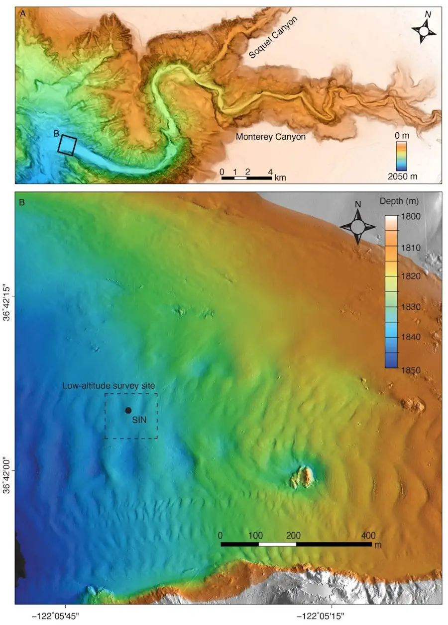 Scientists Mapped The Grand Canyon Of The Sea Right Down To The Centimeter