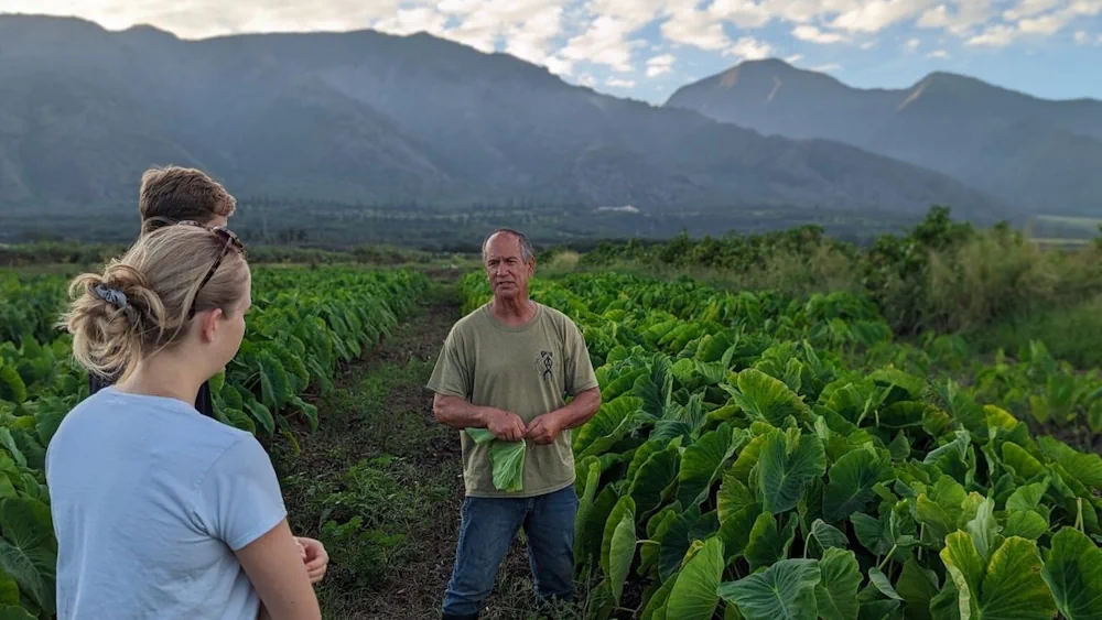 NASA Is Helping Hawai’i Farmers Grow More Food With AI