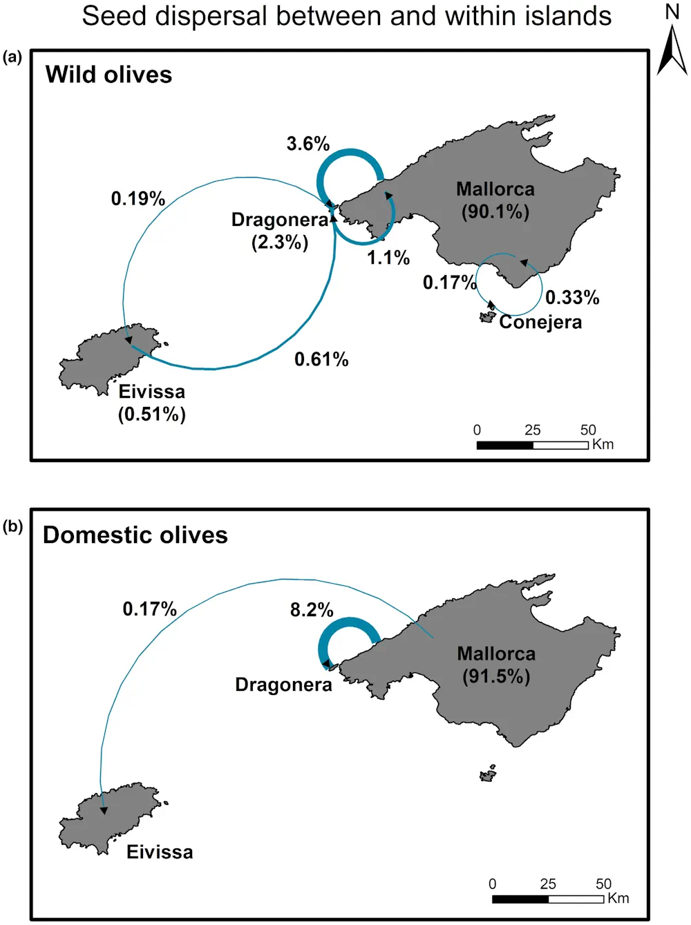 The Role Of Gulls In Spreading Olive Seeds Across Balearic Islands