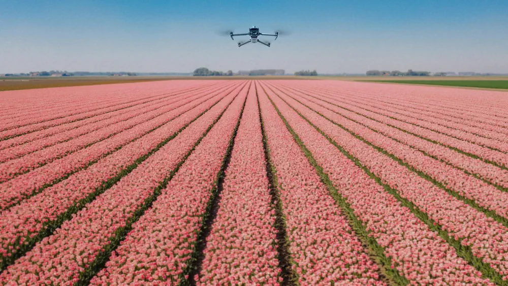 AI And Drones Aid Farmers With Identifying Botrytis