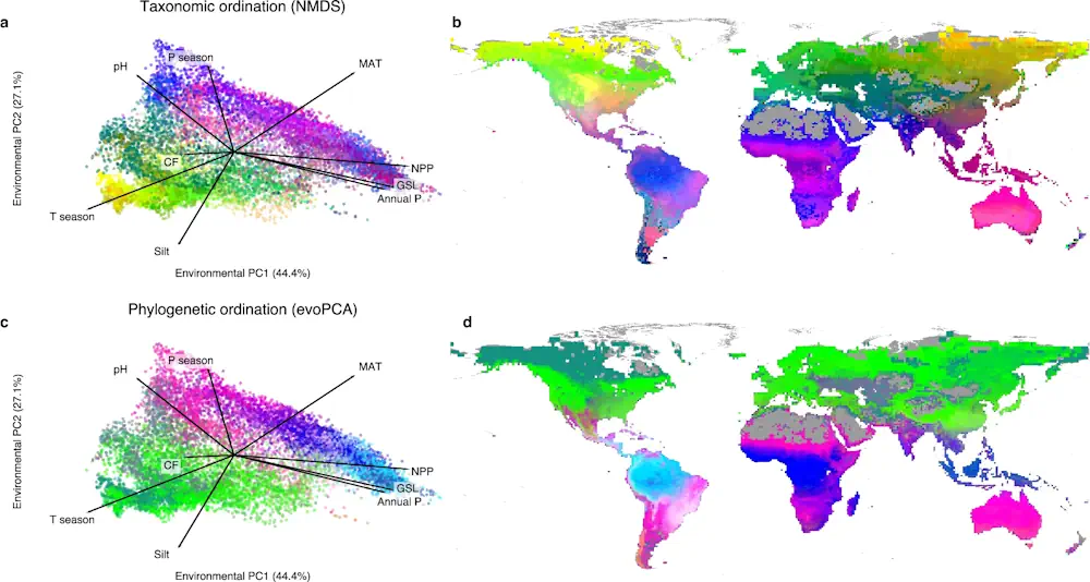 Scientists Map Biodiversity Changes In The World's Forests